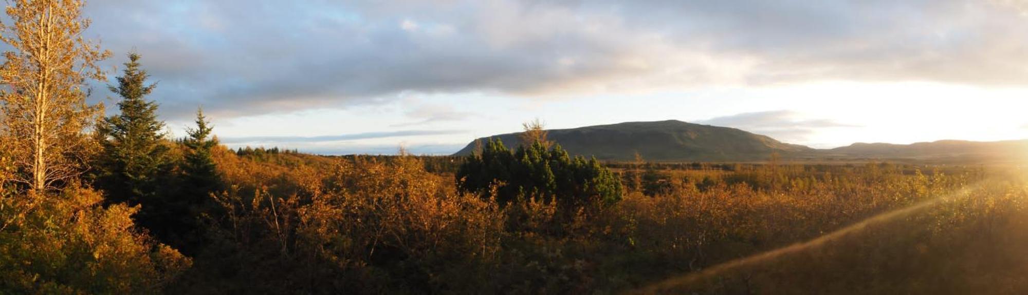 Local Cottage With Amazing View Selfoss Exterior foto